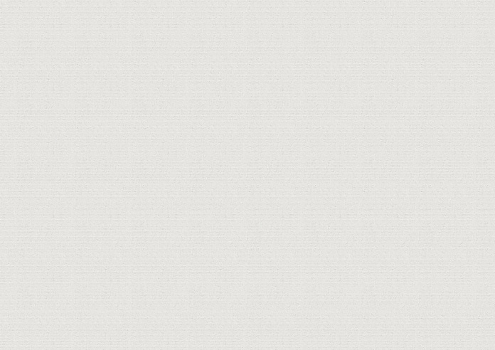 Bruschal (Blackout), Light Grey - Roman Blind - Image 7